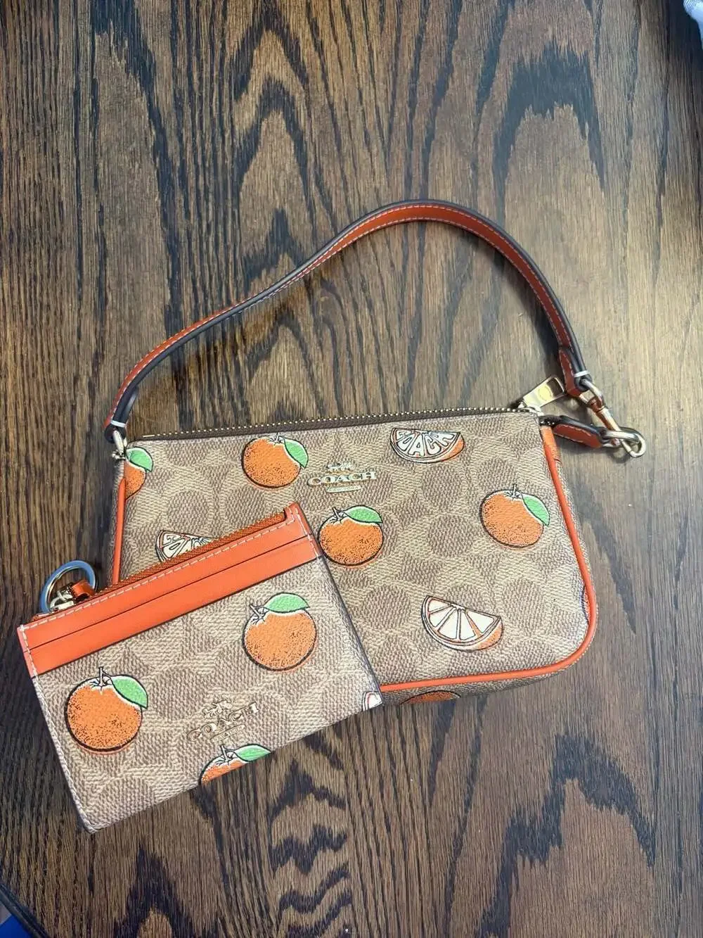 Coach zip card